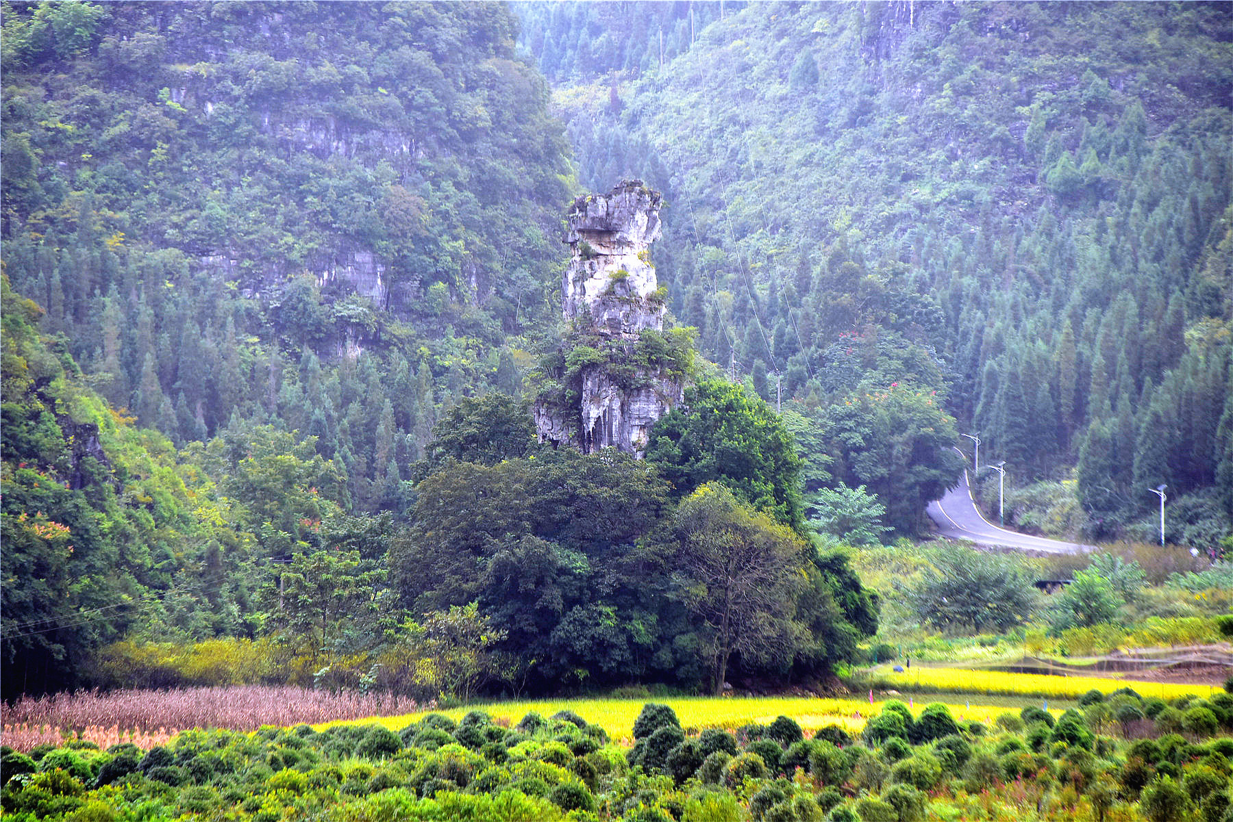 这是被誉为万峰林景区一绝的"将军峰".