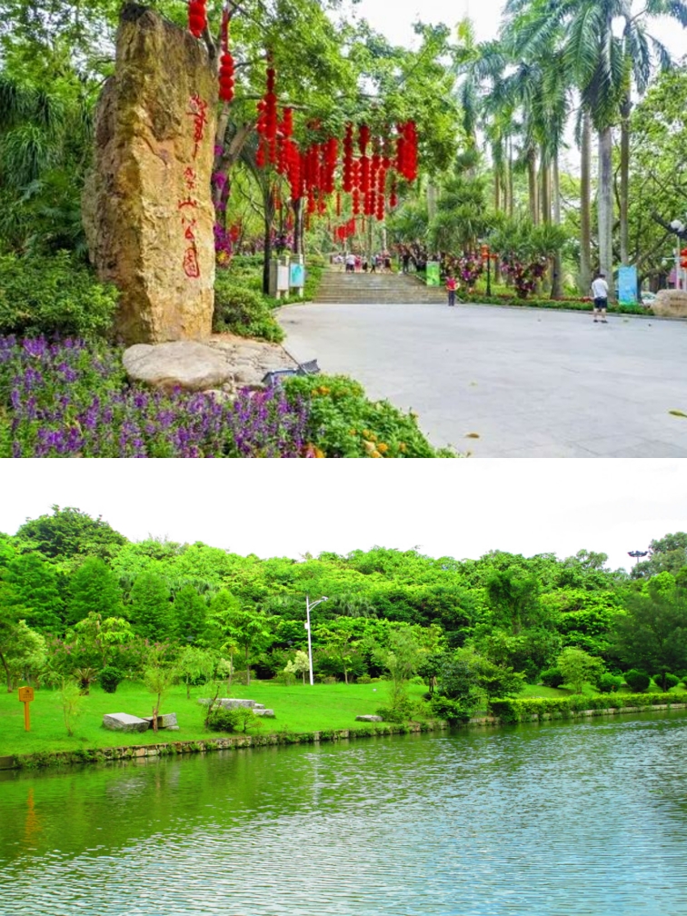 深圳游玩攻略|深圳网红免费景点|深圳一日游_深圳园博园游记_途牛