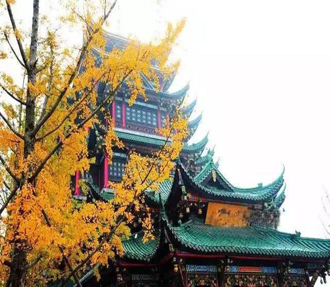 重庆秋色最美的地方图片