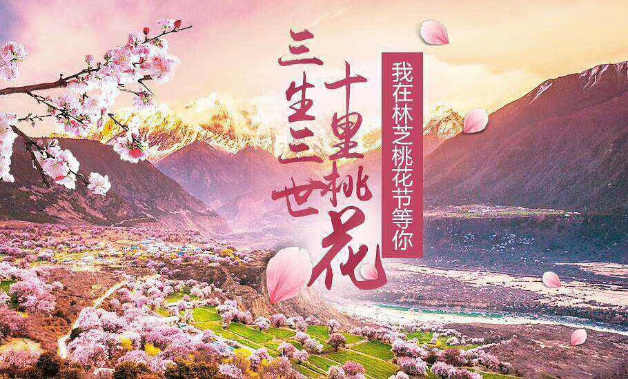 我在林芝桃花节等你