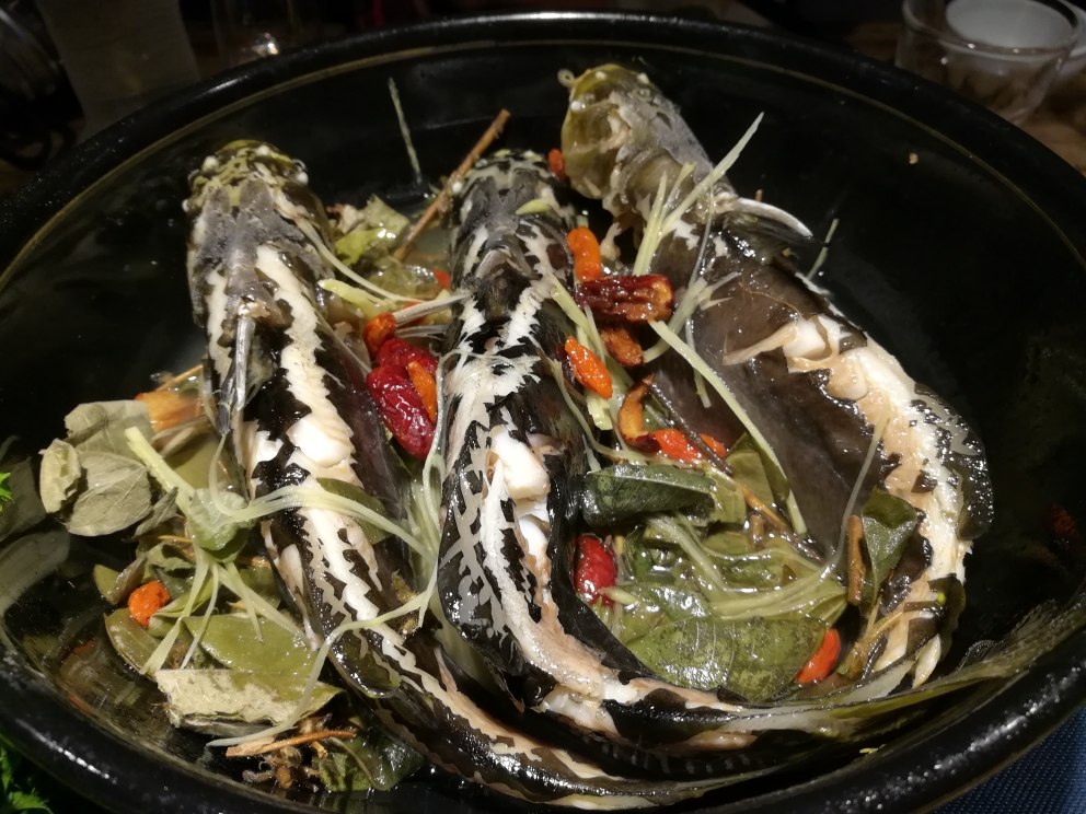 青龙浮玉海(鹿心汤),福禄双全(焖鹿肚腩肉),四参炖肉,仙人鲿(金钱草蒸