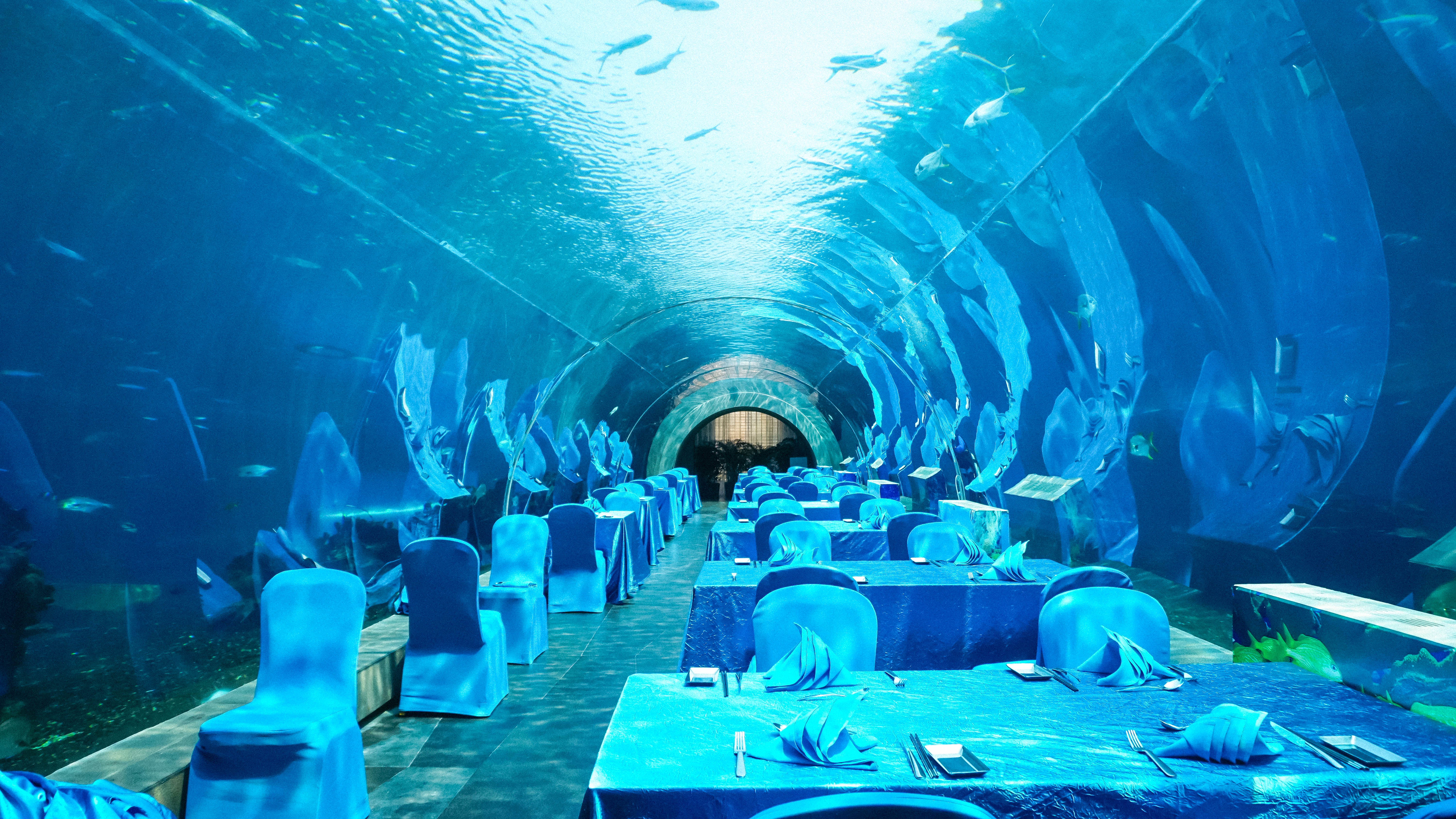 作为 三亚 老牌奢华酒店,开设了 三亚 第一家海洋餐厅,便是这个涛海底