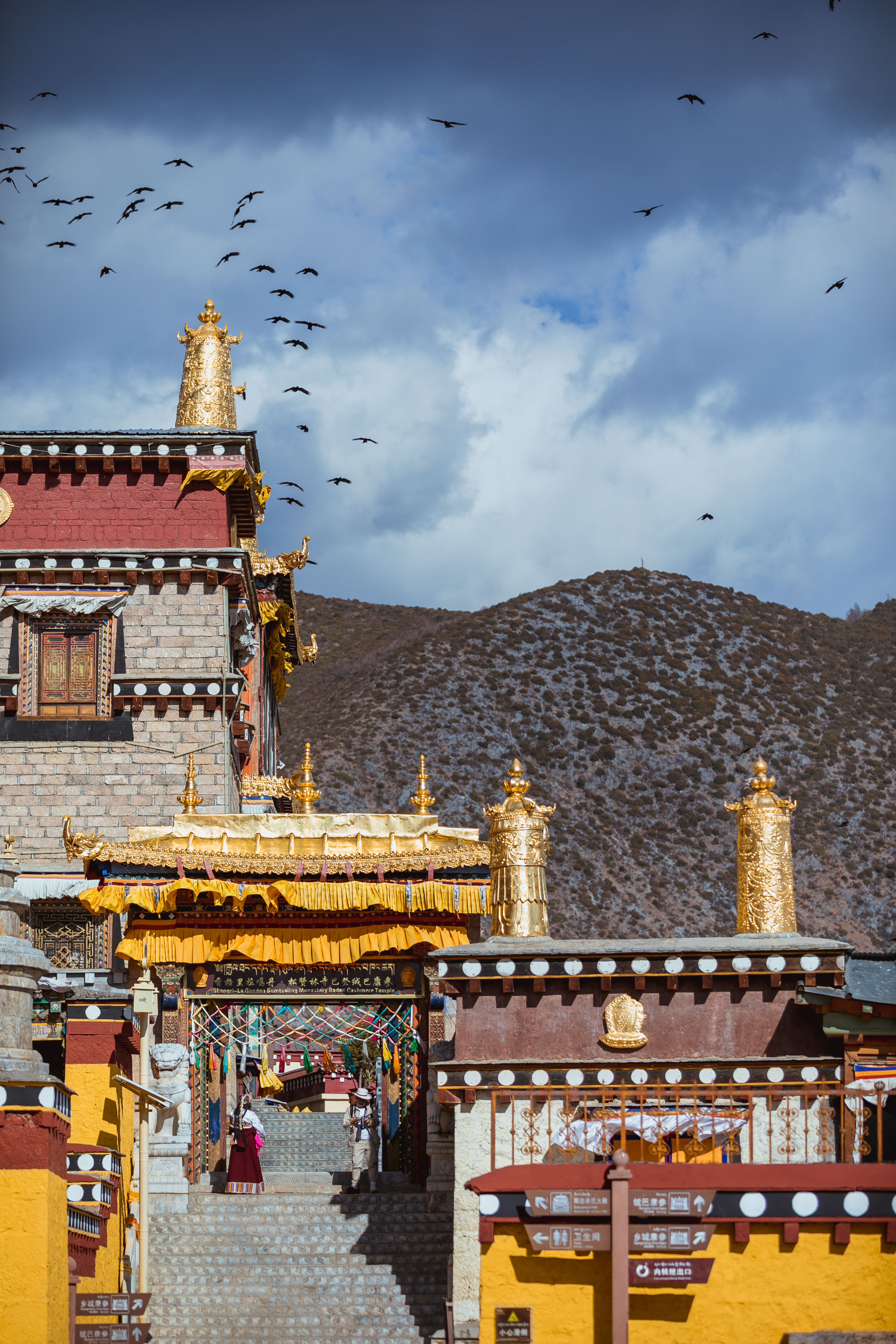 去迪庆,七十二小时追寻梦中的香巴拉