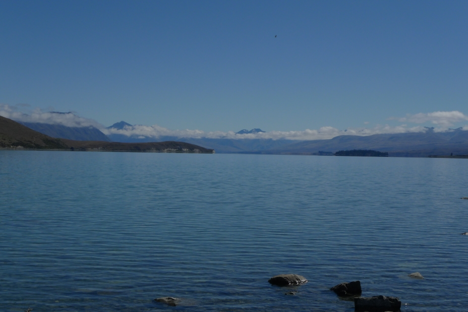 新西兰&斯里兰卡,我该选择哪个?打算春节的时