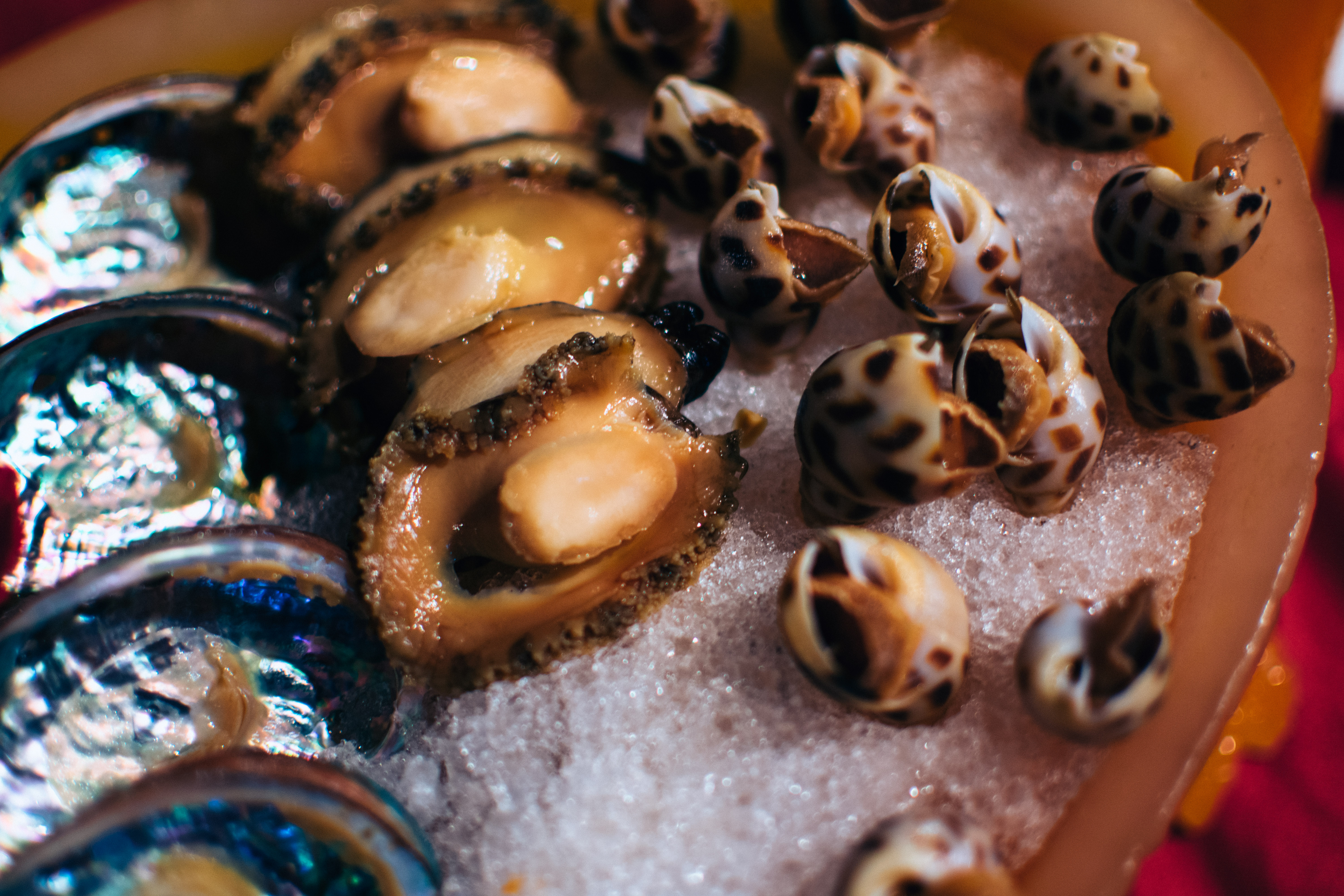 三亚海天盛筵割草海王幻想与神秘