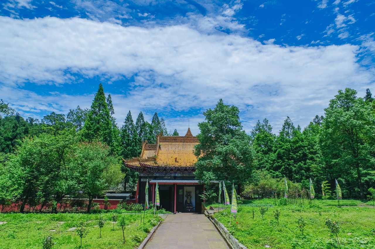 雷音寺 攝影/世界唯一的白菜