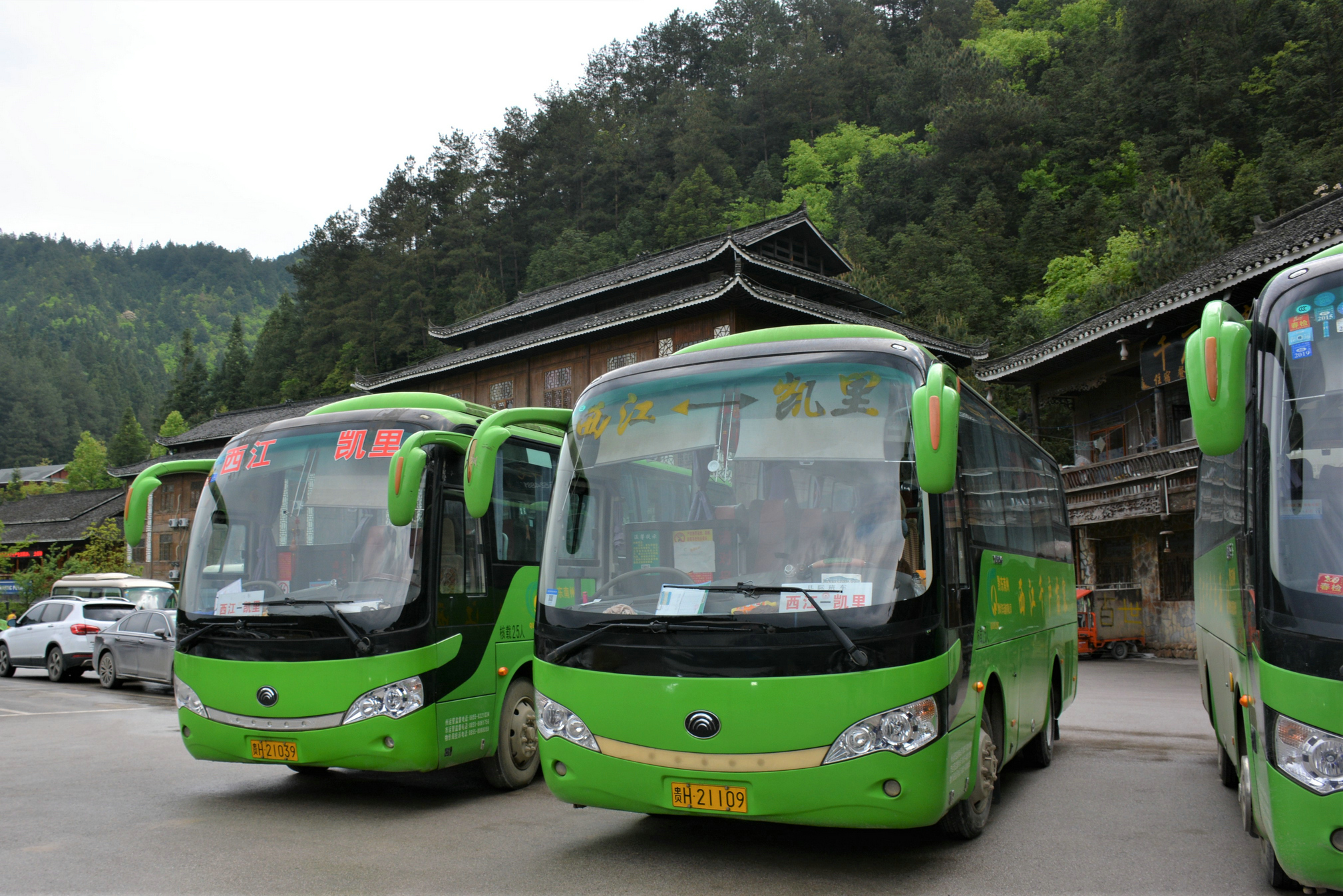 首发逛镇远古城勇登梵净山一大一小的贵州11日游下