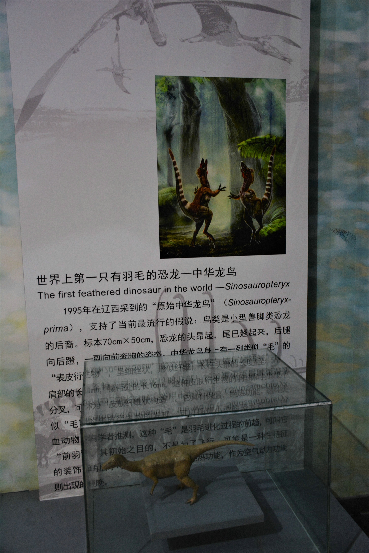 【首发】西峡恐龙遗迹园,小朋友的恐龙乐园(西峡自驾一日游)_西峡游记