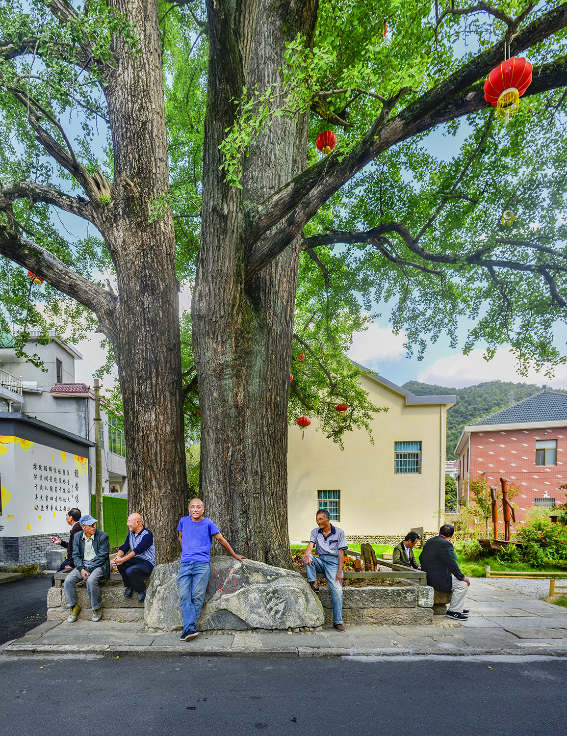 在萧山河上集镇打卡同泰官酱园后可去千年古村凤凰坞