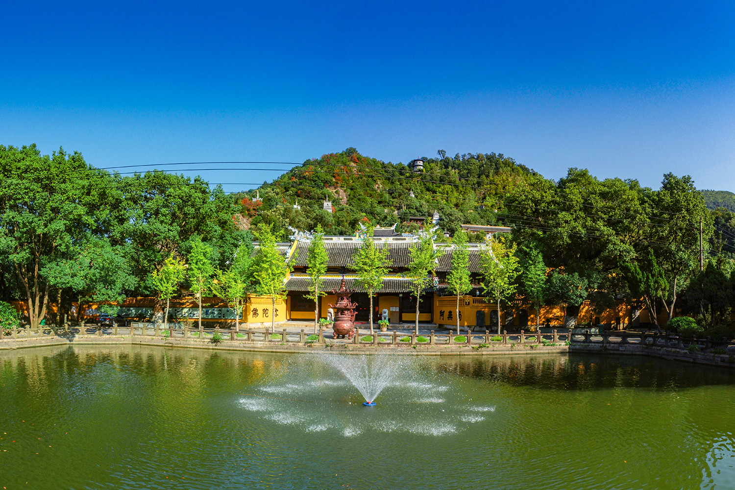 用上帝之眼畅游温州生态园仙岩景区尽情感受绿的魅力