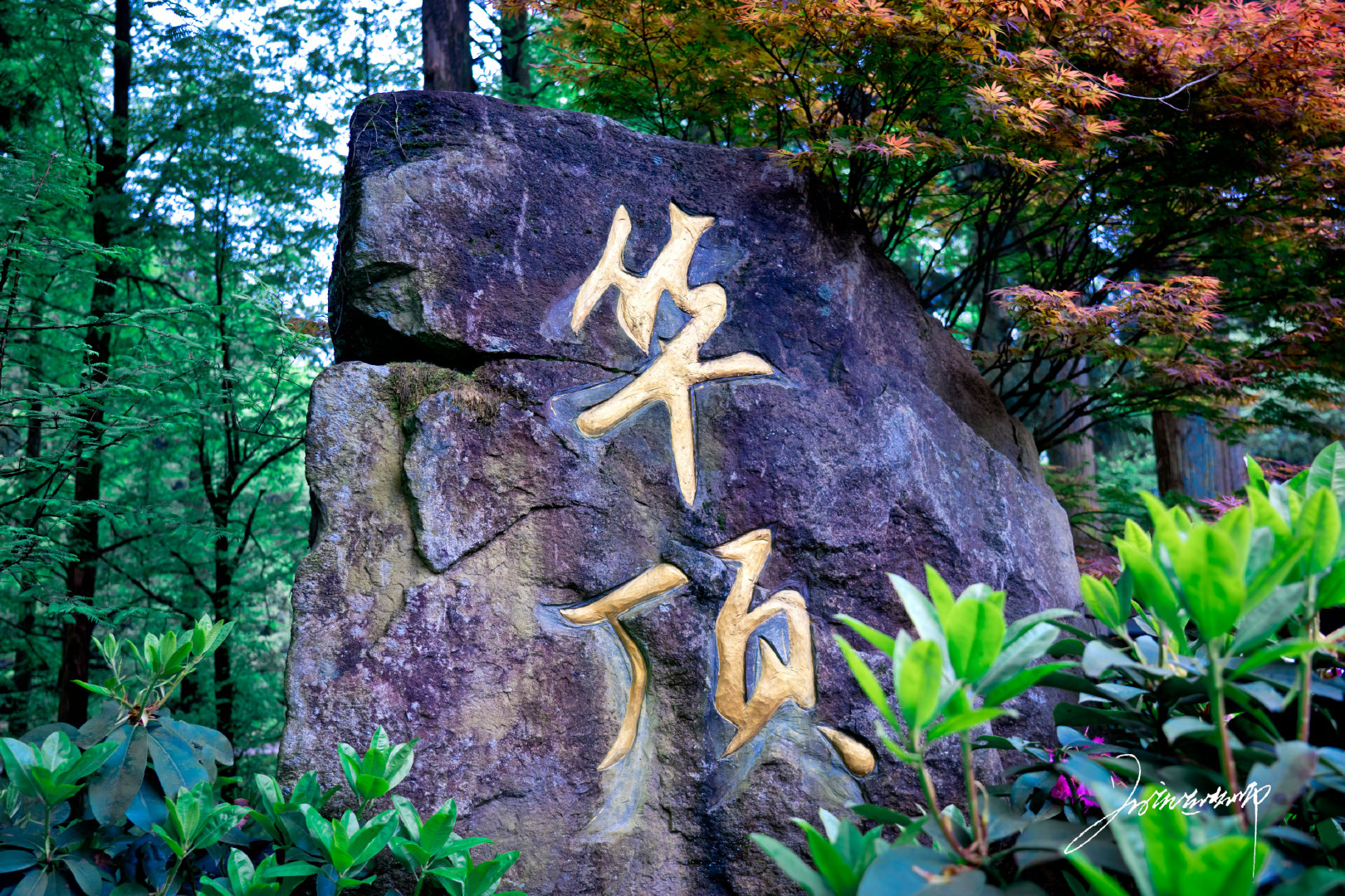 台州华顶国家森林公园图片