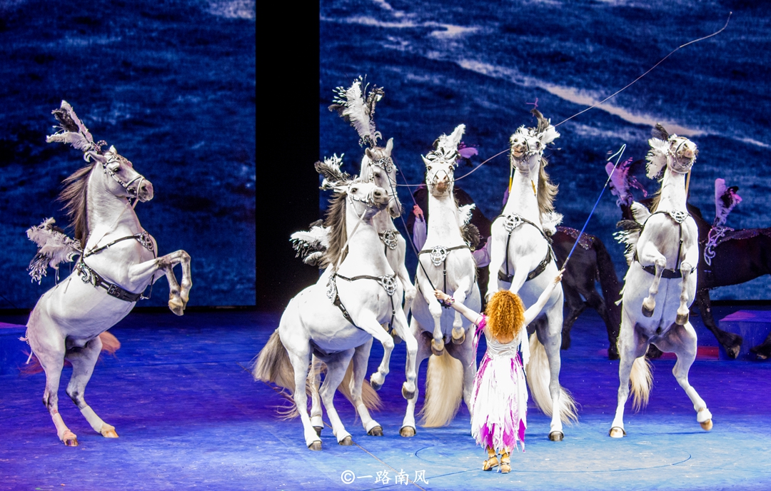 邂逅珠海长隆,看一场超震撼的《龙秀》!