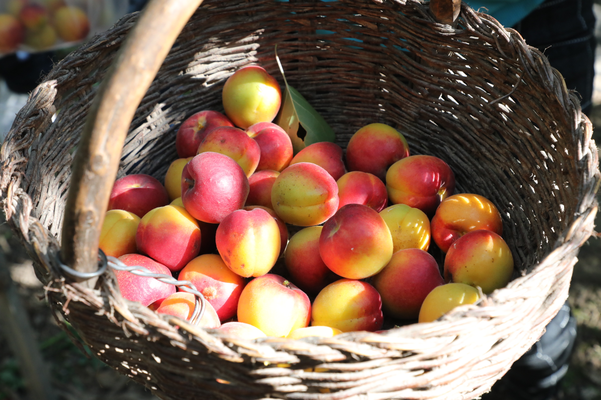 暑假游西北宁夏固原