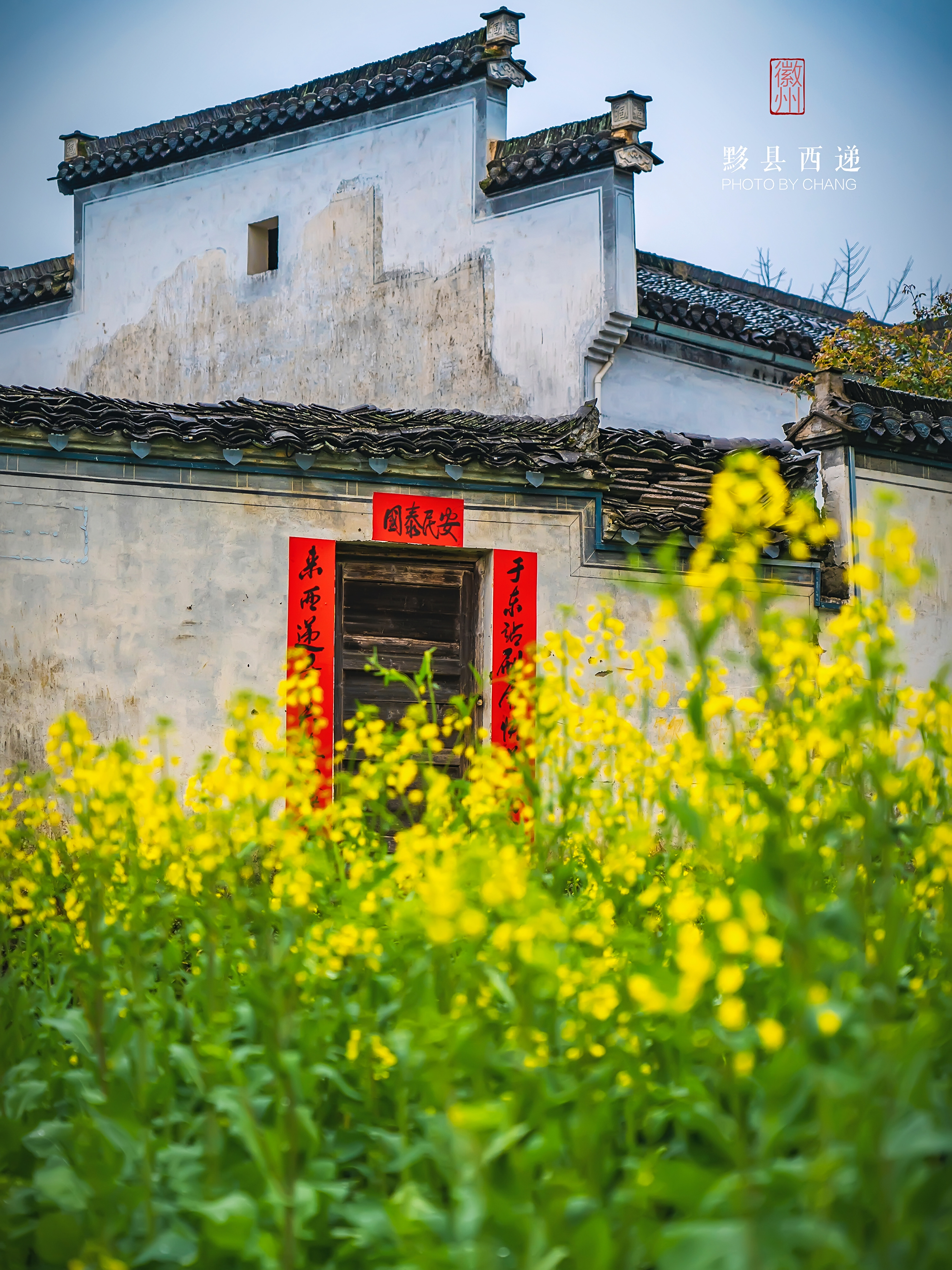 徽派建筑油菜花,徽派油菜花_大山谷图库