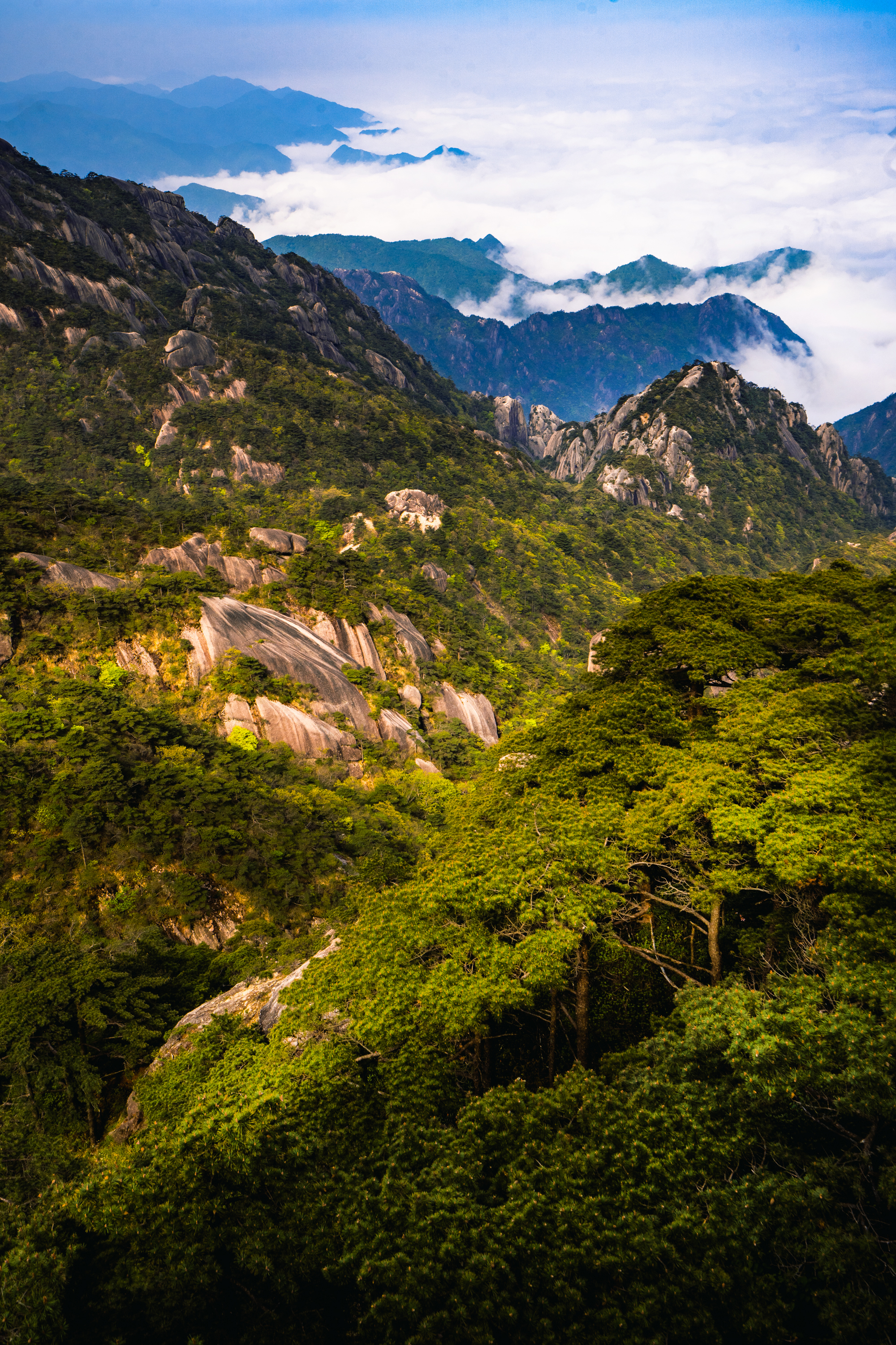 妙想黄山│大千世界一方黄山,十二时辰万般禅意