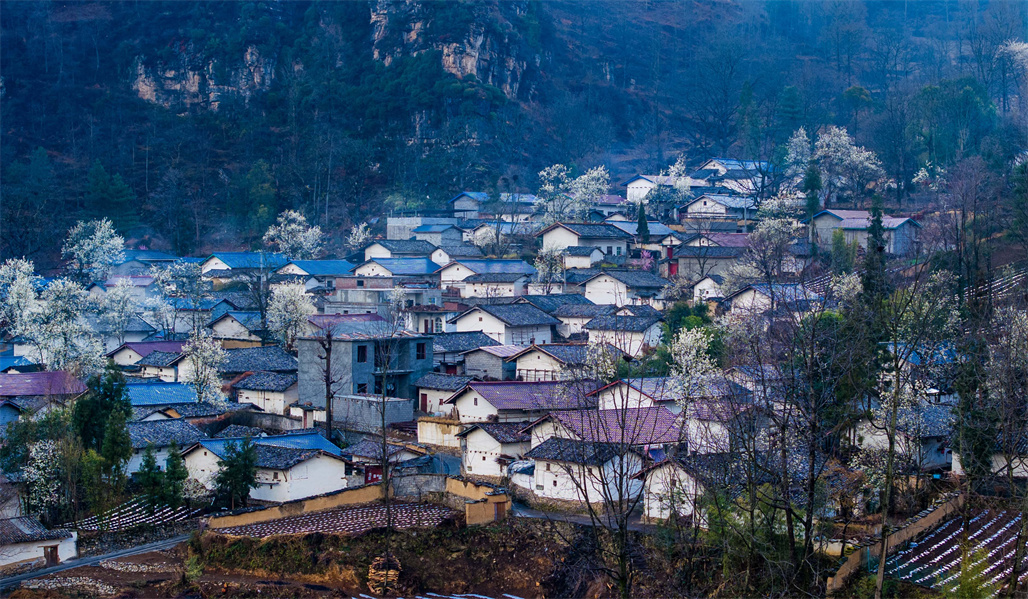春风有信,梨花有约,快来越西共赴花海盛宴!_越西县游记_途牛