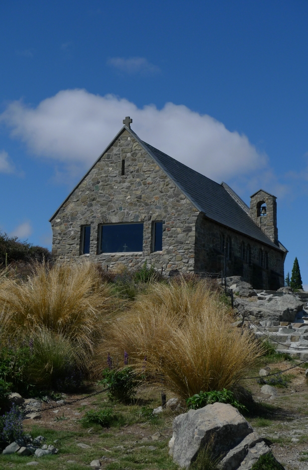 新西兰&斯里兰卡,我该选择哪个?打算春节的时