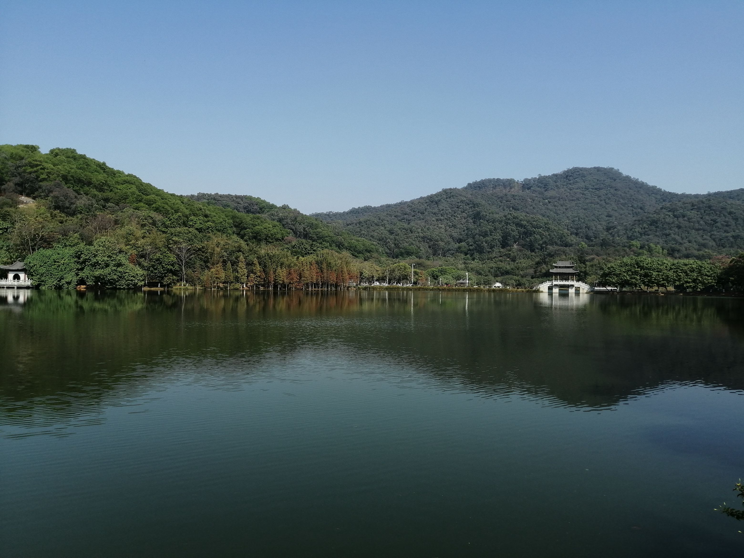 冬遊同沙生態公園