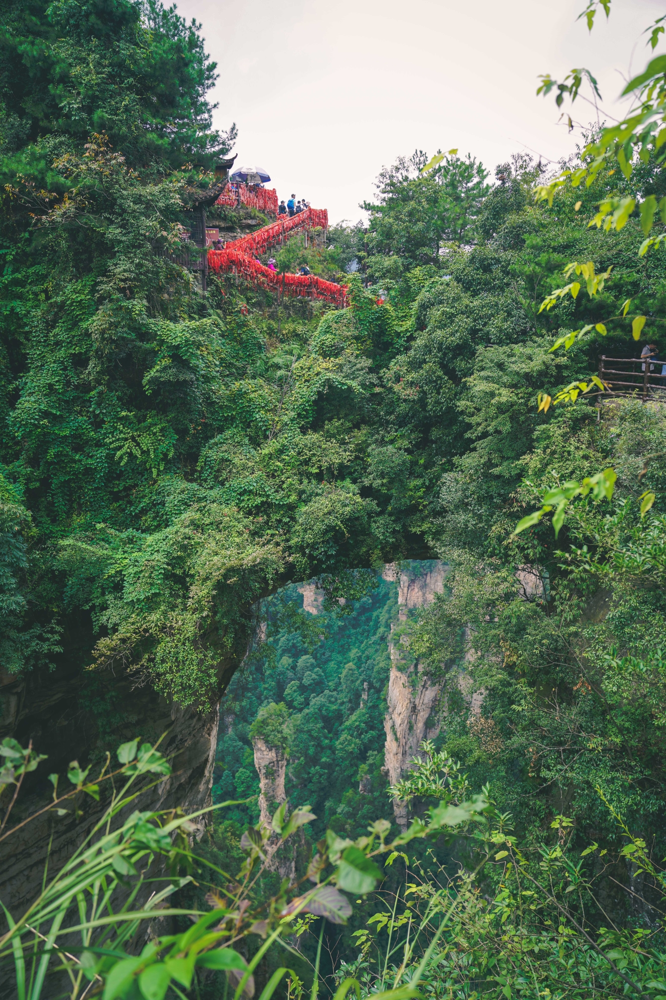 一人一娃张家界,带妞寻我美丽大中华