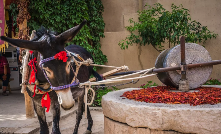 课本没有告诉你的敦煌印迹, 答案都在月牙泉小镇_敦煌游记_途牛