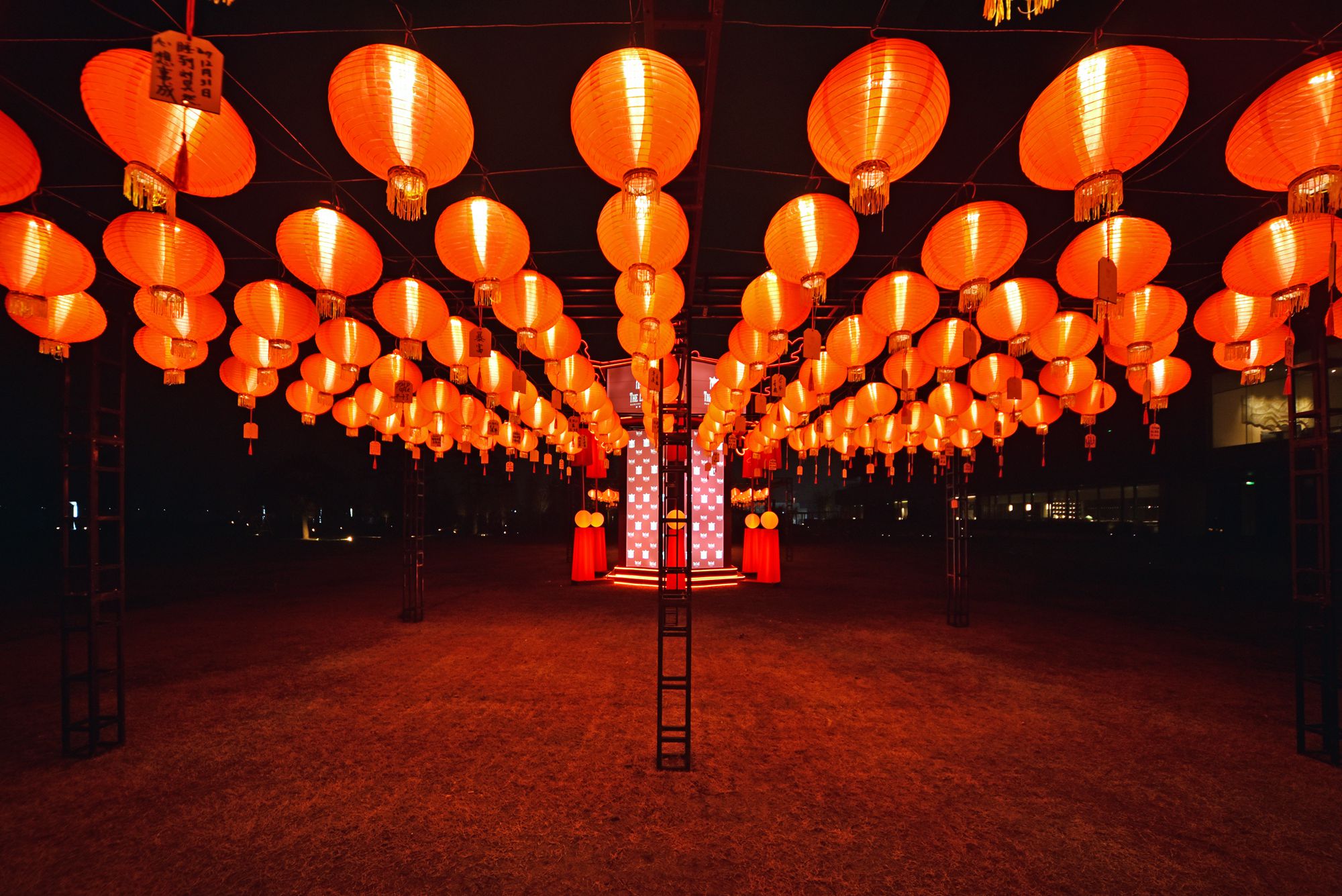 走出大堂吧是一片草坪,也是是举办室外婚礼的场地,灯笼亮起来了