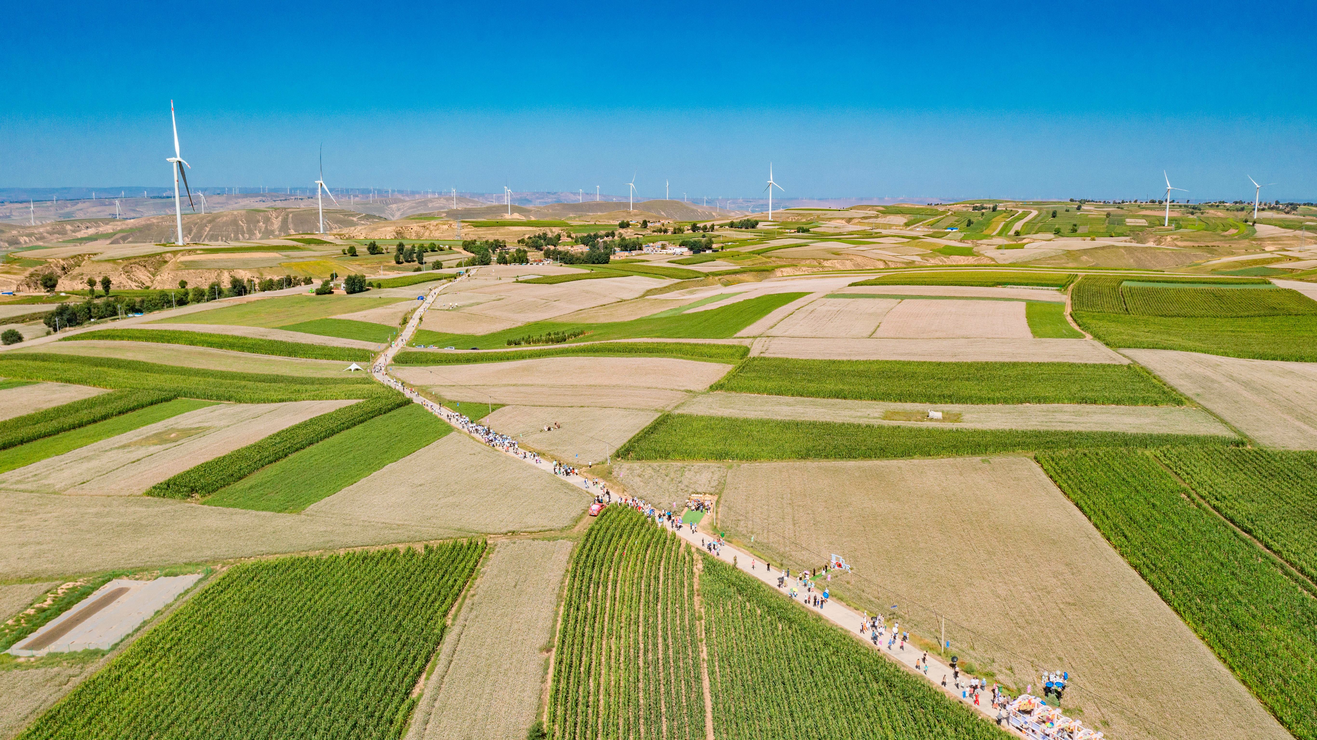 孙同学榆林漫游记34探秘魅力定边畅游田园花海