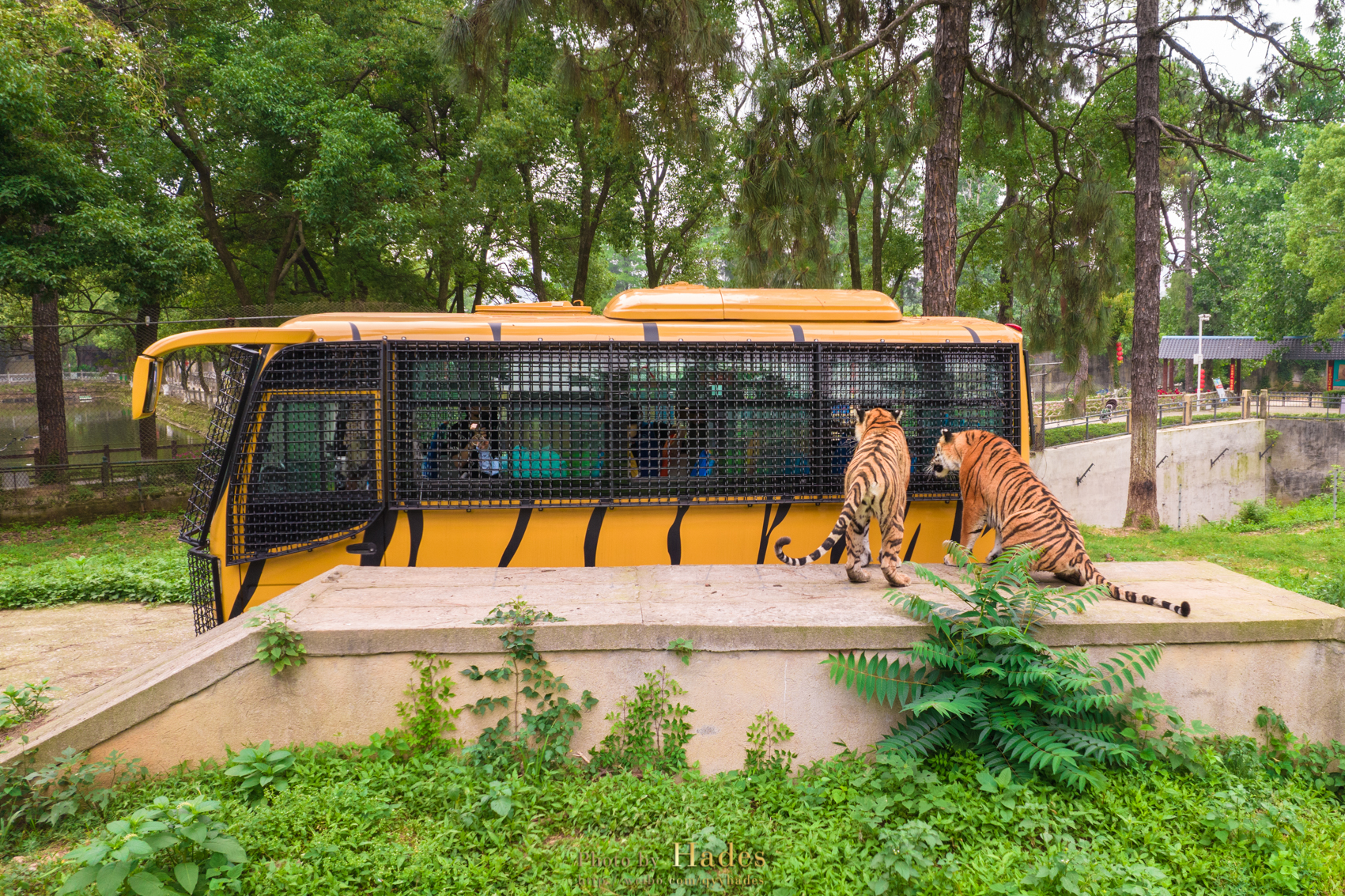 武汉九峰森林动物园图片