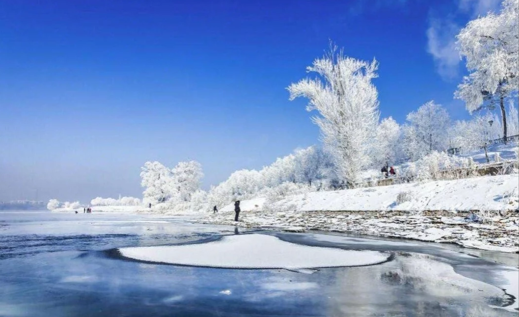 你見過這樣的雪嗎???_撫遠市遊記_途牛