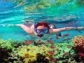 <海南-三亚百福湾深潜1日游>三亚隐秘地百福岛,醉美潜水胜地,玻璃船航拍+小众人少+水质清澈+一对一教练 <海南-三亚百福湾深潜1日游>三亚隐秘地百福岛,醉美潜水胜地,玻璃船航拍+小众人少+水质清澈+一对一教练