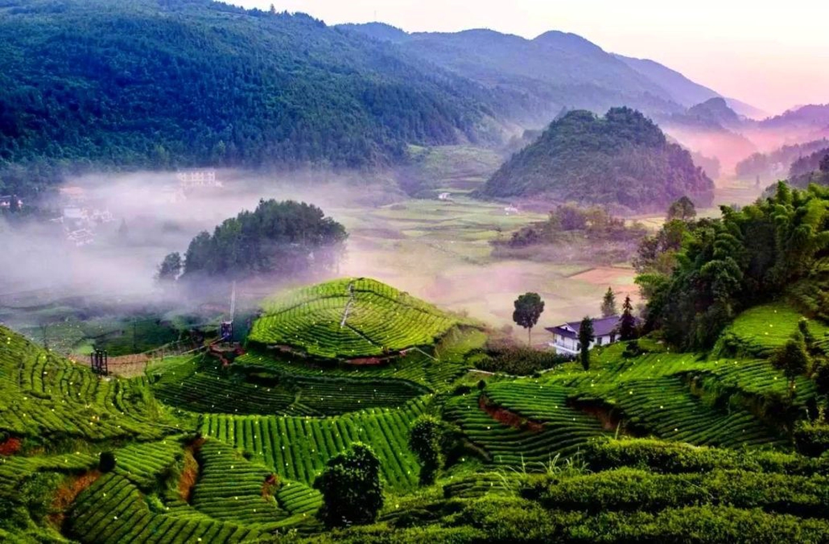 景点模块 