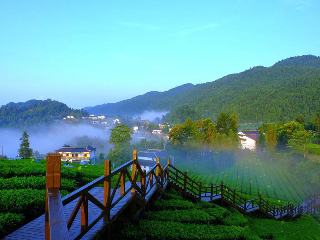 景点模块 