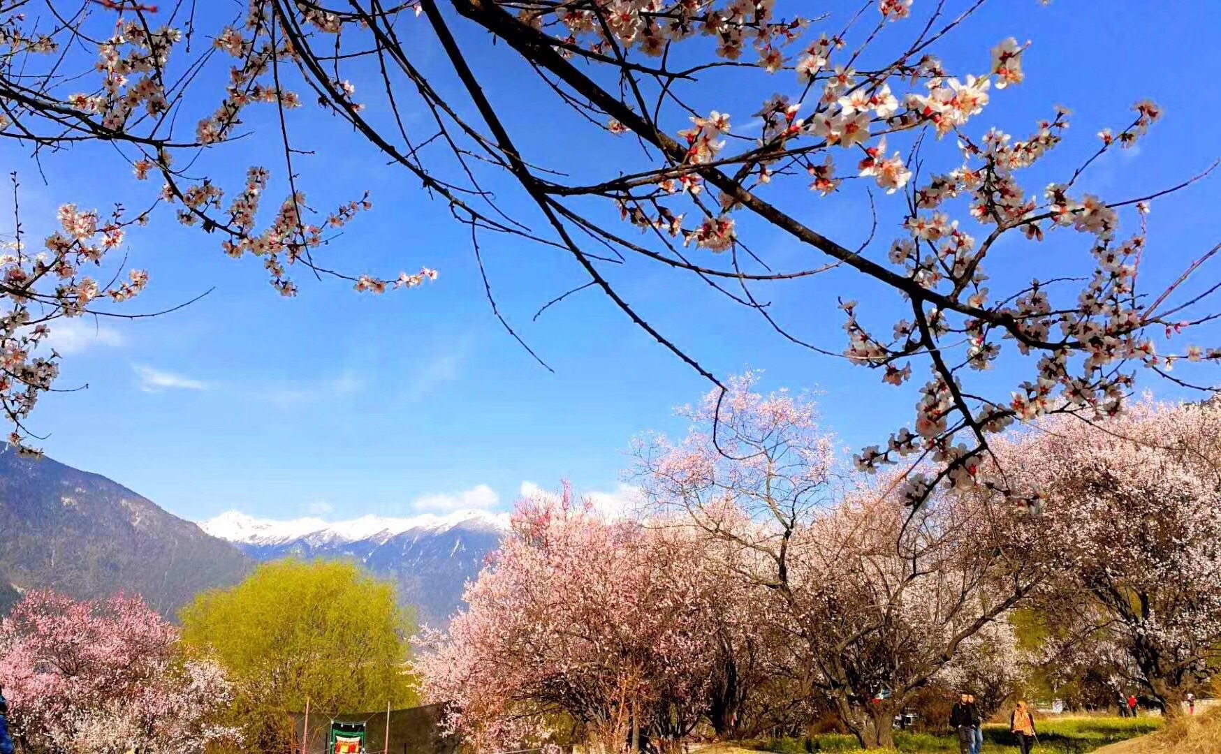 景点模块 