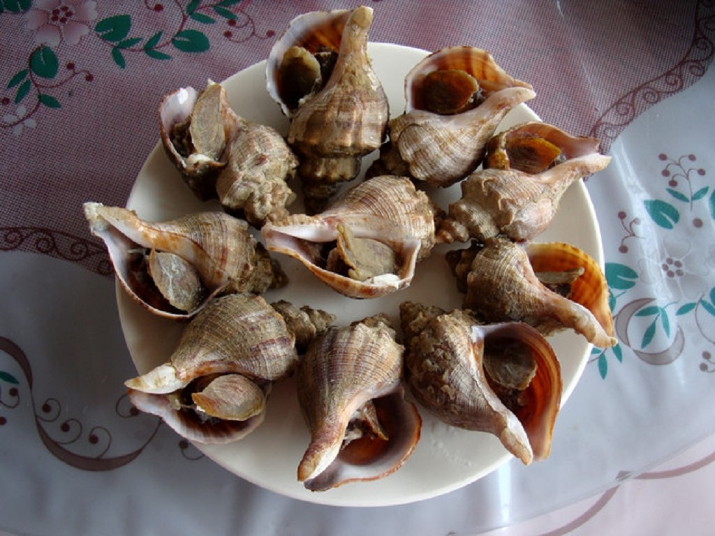 餐饮模块 