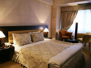 Le Grande Plaza Hotel 酒店模块