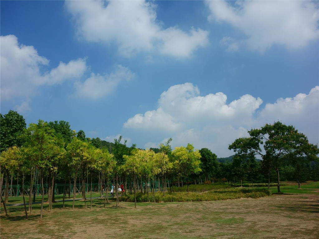 景点模块 