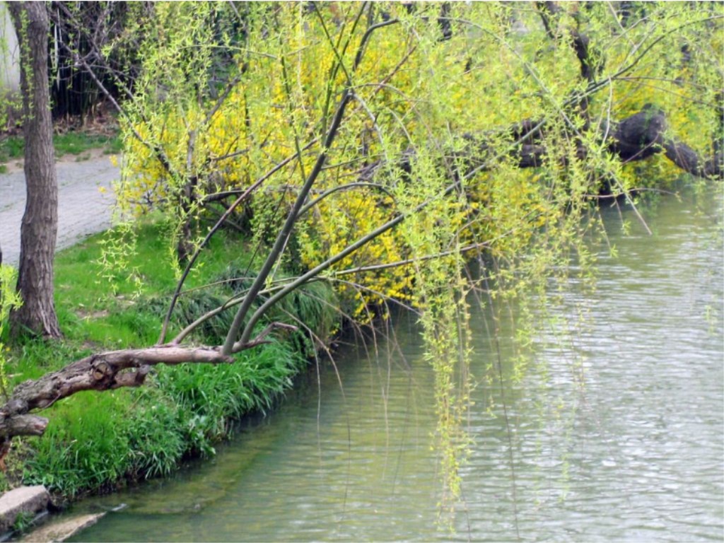 景点模块 