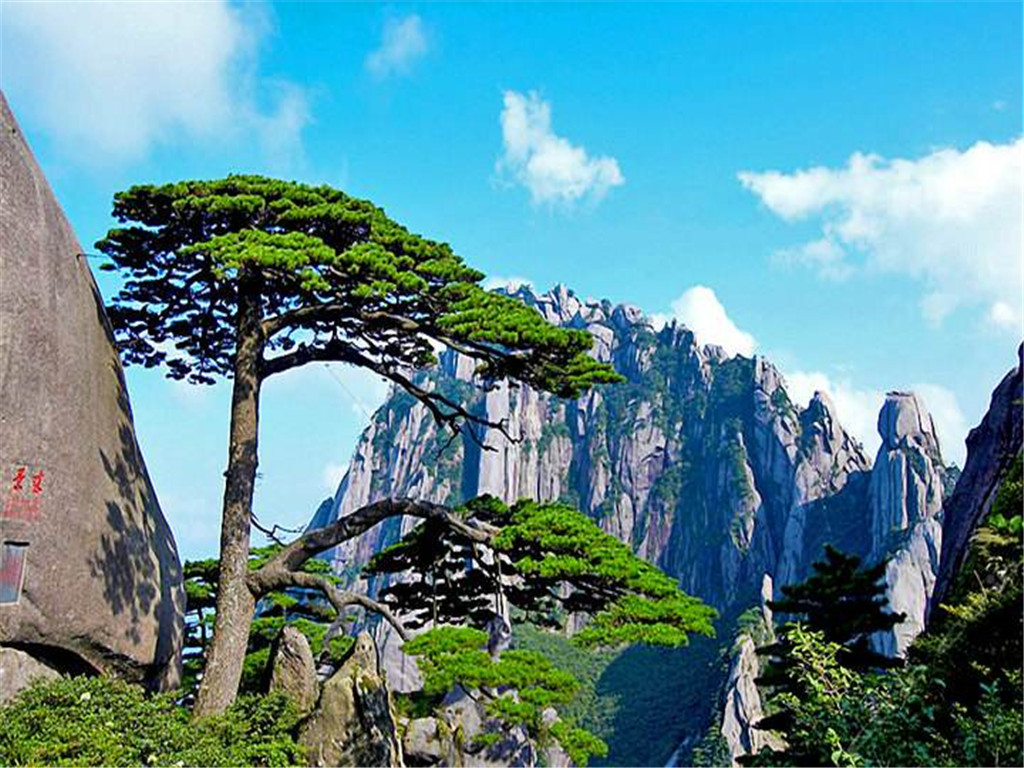 景点模块 