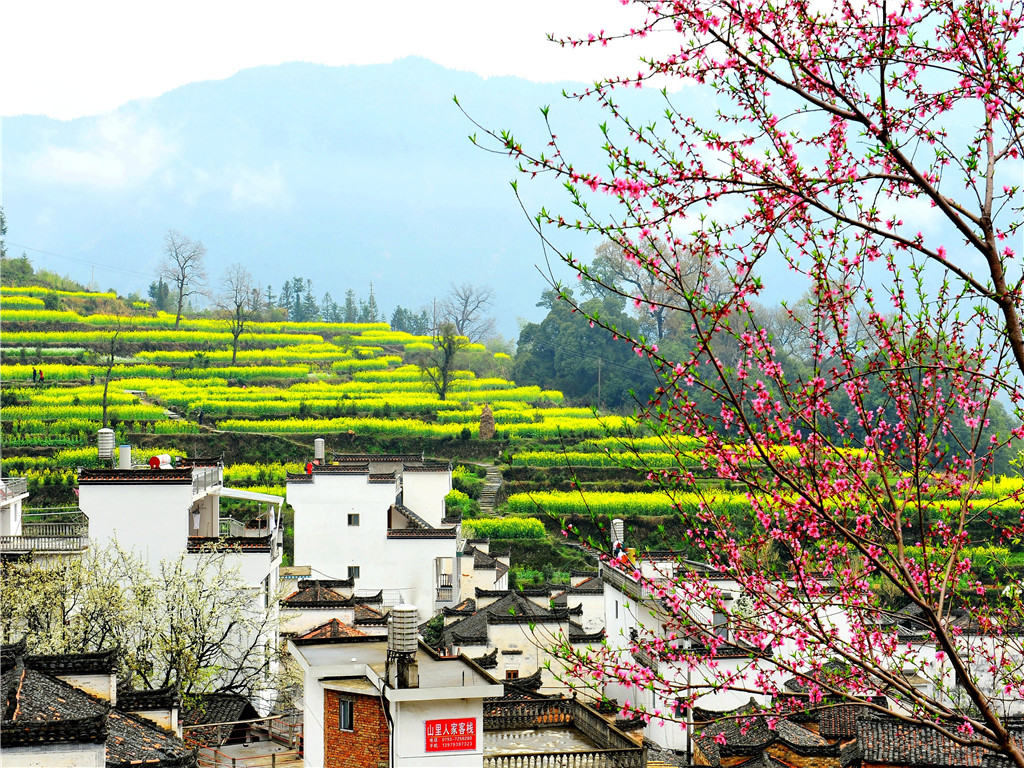 景点模块 