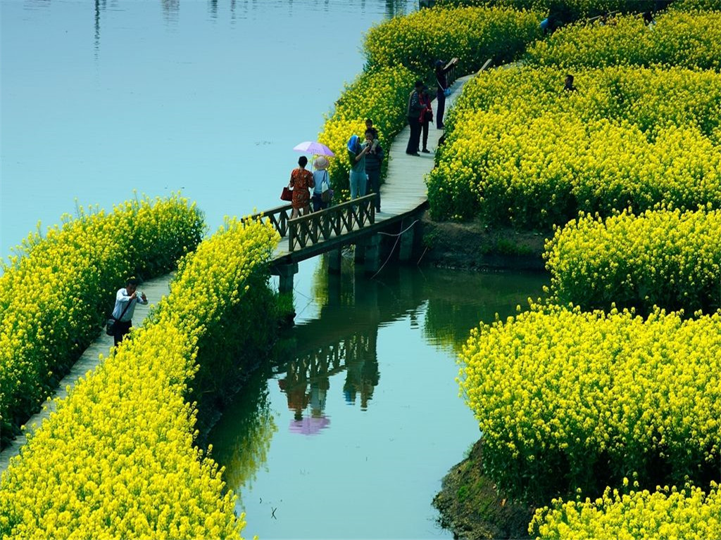 景点模块 