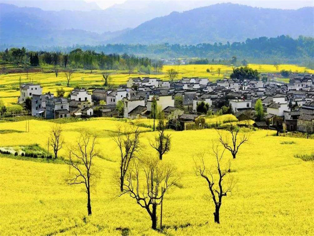 景点模块 