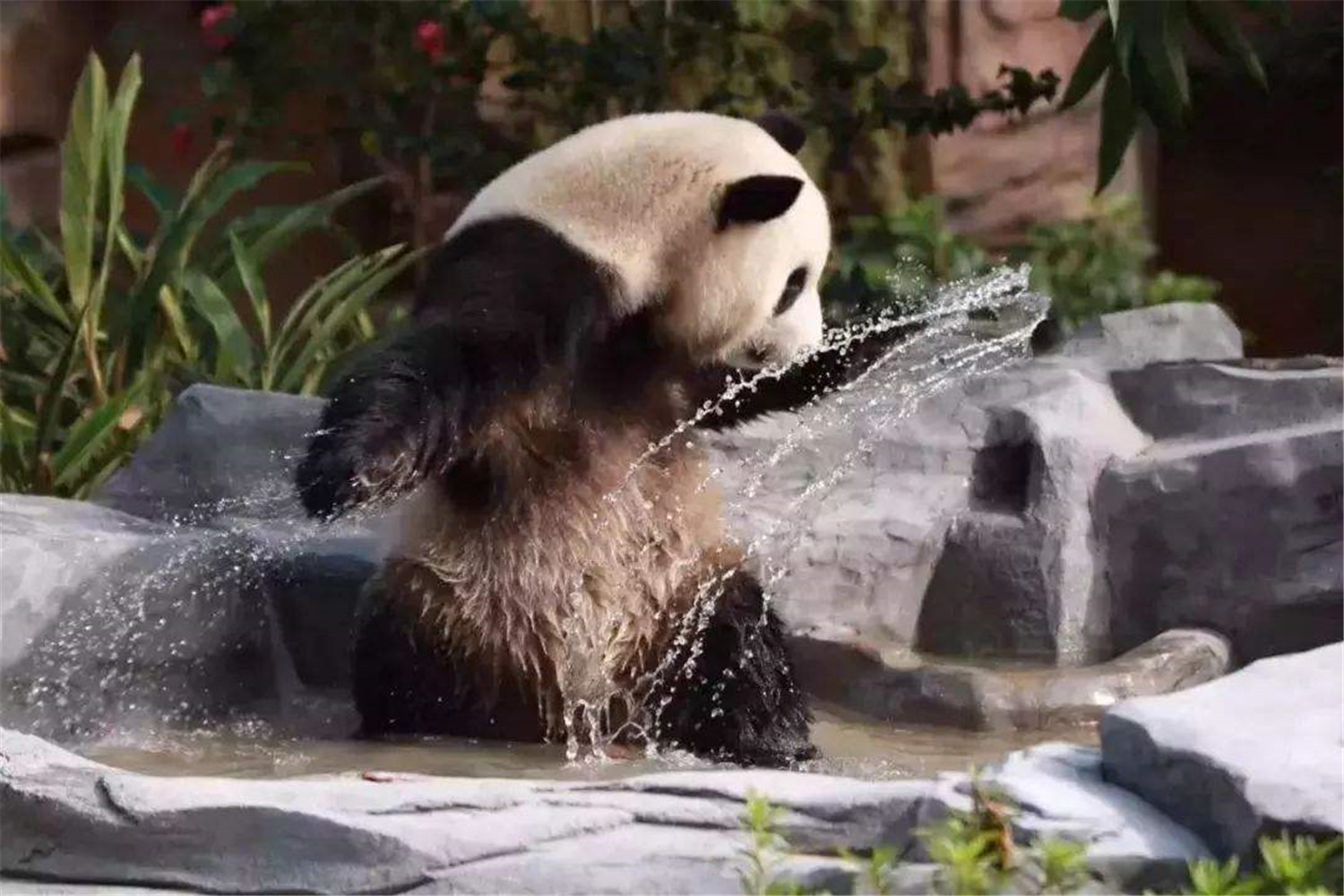 景点模块 