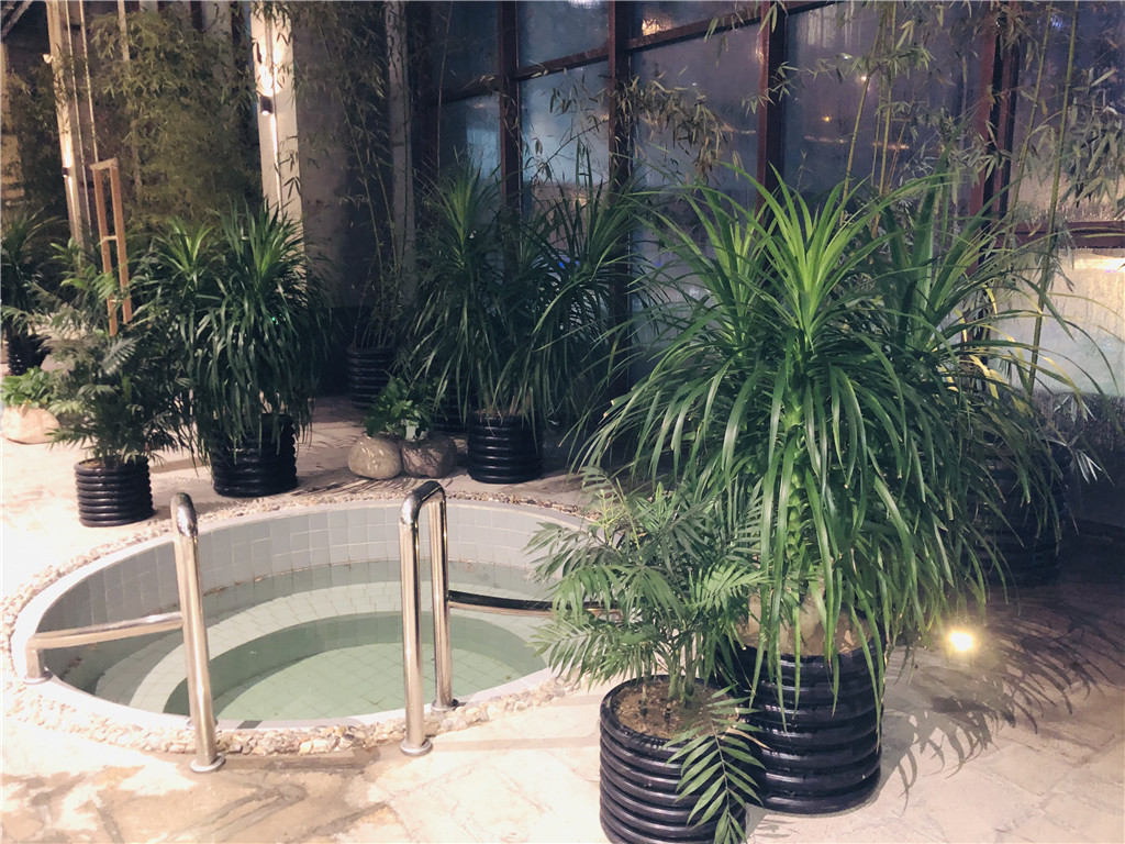 活动模块 