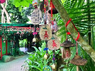 呀诺达 景点模块