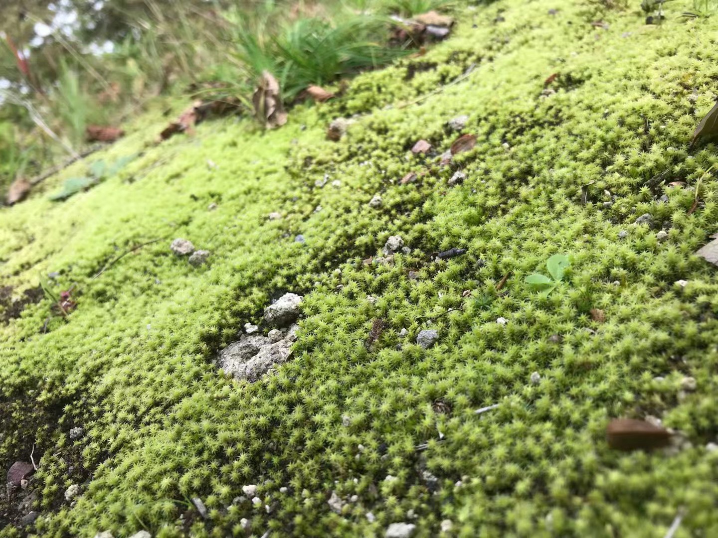景点模块 