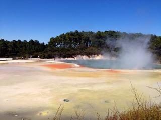 毛利文化村地热保护区 景点模块