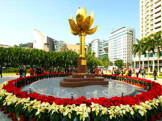 金莲花 景点模块