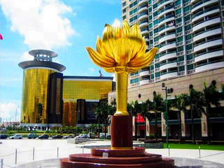 金莲花 景点模块