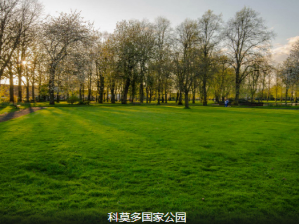 景点模块 