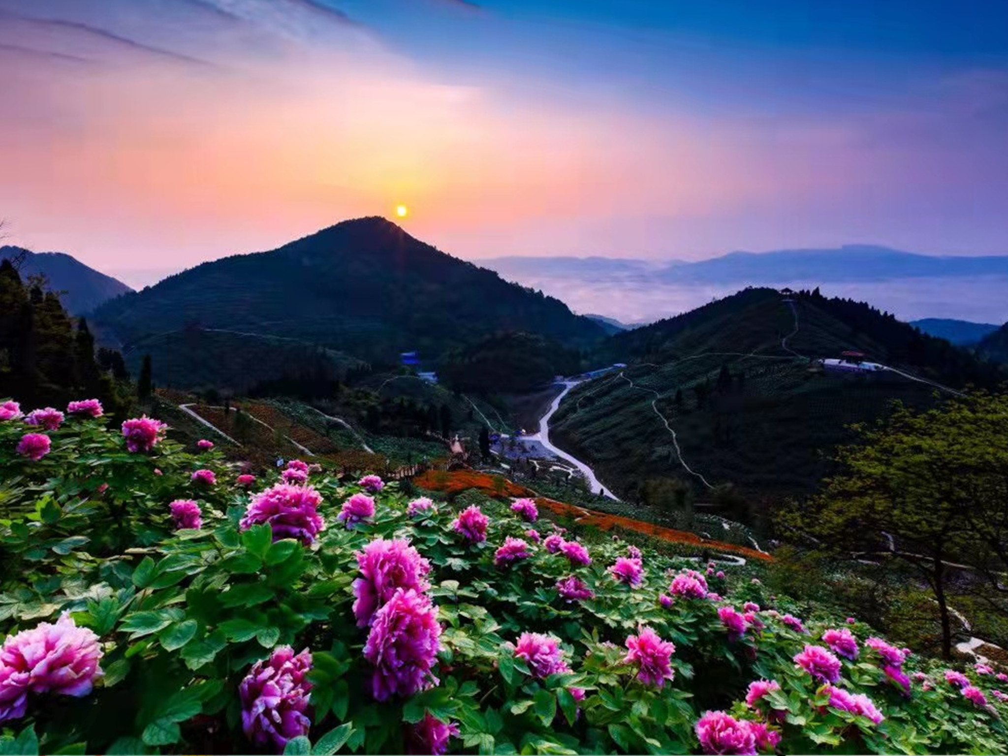 垫江华夏牡丹园单门票自驾游-途牛