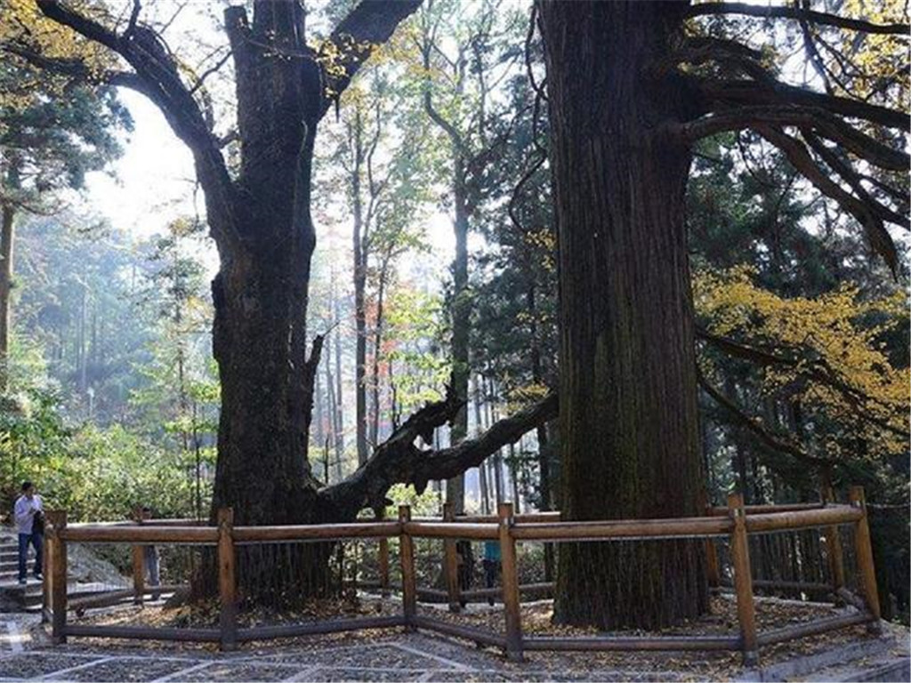 景点模块 